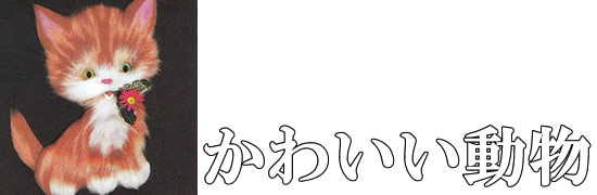 ���������h�J�L�b�g �Ҍ� ���`�[�t