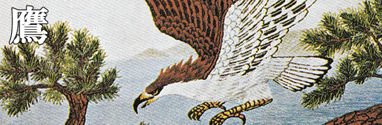 ���������h�J�L�b�g ��@���`�[�t