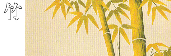 ���������h�J�L�b�g �| ���`�[�t