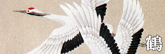 ���������h�J�L�b�g ���D�@���`�[�t