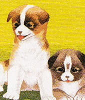 ���������h�J�L�b�g No164�@���_�ԕx�m�i�R���j 