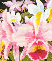 ���������h�J�L�b�g No164�@���_�ԕx�m�i�R���j 