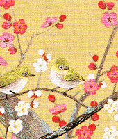 ���������h�J�L�b�g No164�@���_�ԕx�m�i�R���j 