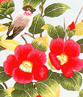 ���������h�J�L�b�g No164�@���_�ԕx�m�i�R���j 