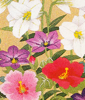 ���������h�J�L�b�g No164�@���_�ԕx�m�i�R���j 