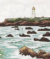 ���������h�J�L�b�g No164�@���_�ԕx�m�i�R���j 