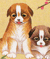 ���������h�J�L�b�g No164�@���_�ԕx�m�i�R���j 