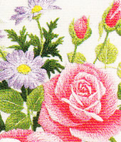 ���������h�J�L�b�g No164�@���_�ԕx�m�i�R���j 