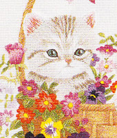 ���������h�J�L�b�g No164�@���_�ԕx�m�i�R���j 