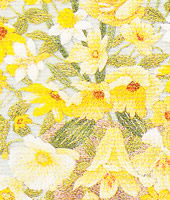 ���������h�J�L�b�g No164�@���_�ԕx�m�i�R���j 