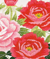 ���������h�J�L�b�g No164�@���_�ԕx�m�i�R���j 