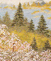 ���������h�J�L�b�g No164�@���_�ԕx�m�i�R���j 