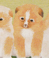 ���������h�J�L�b�g No164�@���_�ԕx�m�i�R���j 