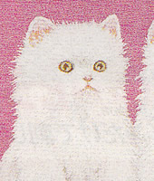 ���������h�J�L�b�g No164�@���_�ԕx�m�i�R���j 