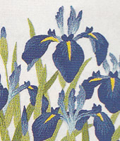 ���������h�J�L�b�g No164�@���_�ԕx�m�i�R���j 