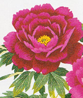 ���������h�J�L�b�g No164�@���_�ԕx�m�i�R���j 