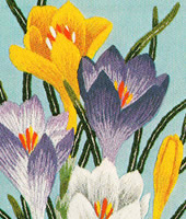 ���������h�J�L�b�g No164�@���_�ԕx�m�i�R���j 