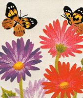 ���������h�J�L�b�g No164�@���_�ԕx�m�i�R���j 