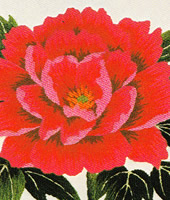 ���������h�J�L�b�g No164�@���_�ԕx�m�i�R���j 