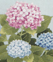 ���������h�J�L�b�g No164�@���_�ԕx�m�i�R���j 